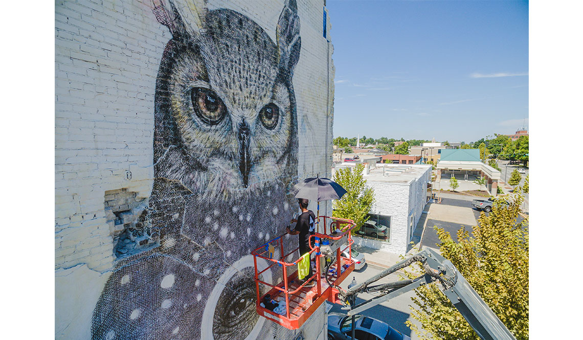 Artist Alexis Diaz paints a mural of an owl on a building wall in Fort Smith, Arkansas