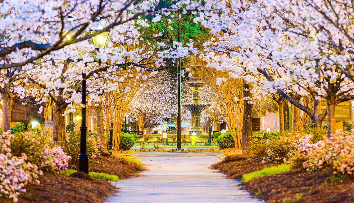 Tattnall Square Park, Macon, Georgia, Springtime, AARP Livable Communities, Restoring and Reinventing Tattnall Square Park