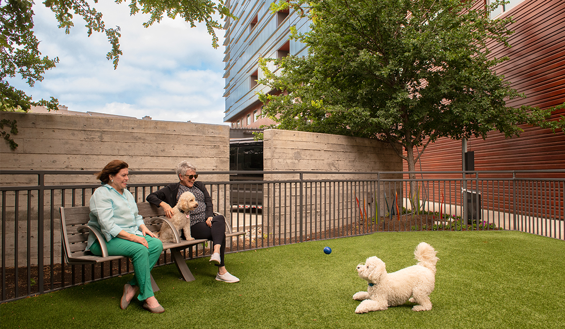 Two women sit on a bench with a white dog while another dog plays with a ball on the grass