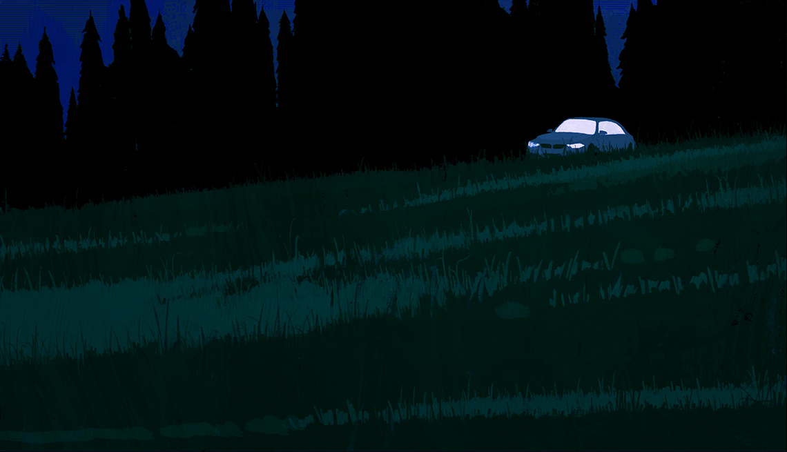 Car in a field beneath tall trees, aglow in the darkness 