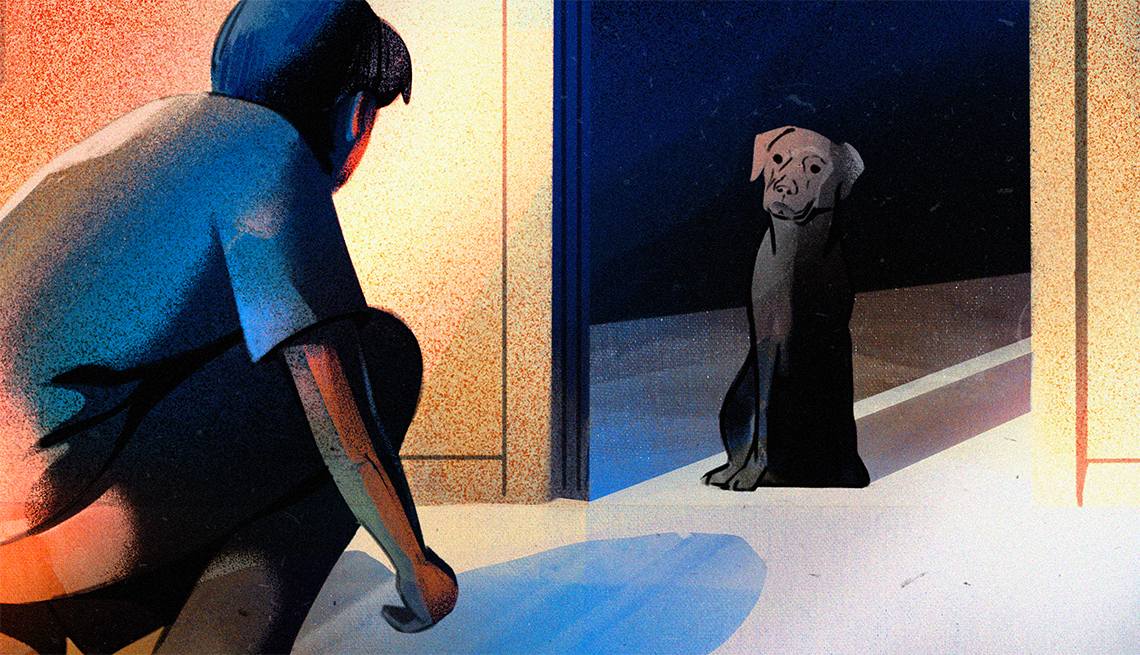 illustration of a boy kneeling down looking at a black dog in a doorway