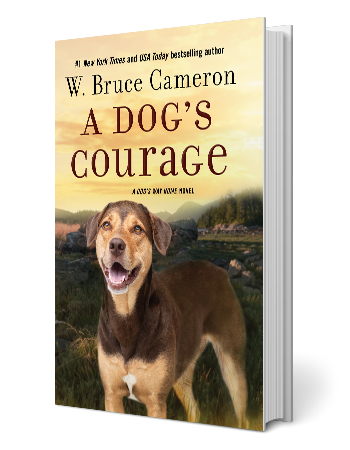 a dog's courage book cover