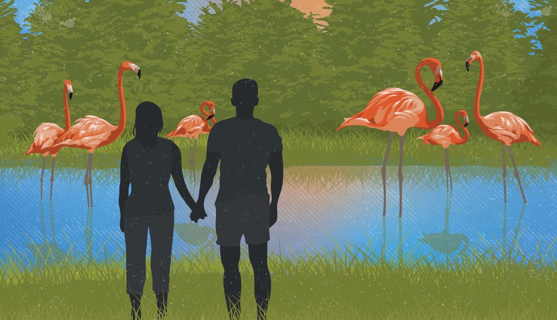 Illustration of a silhouetted woman and man holding hands in the grass in the foreground with flamingos standing in water in front of trees in the background