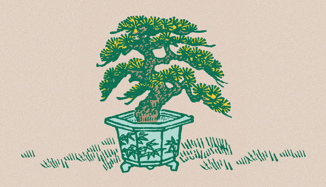 Illustration of a bonsai tree in a pot sitting on grass
