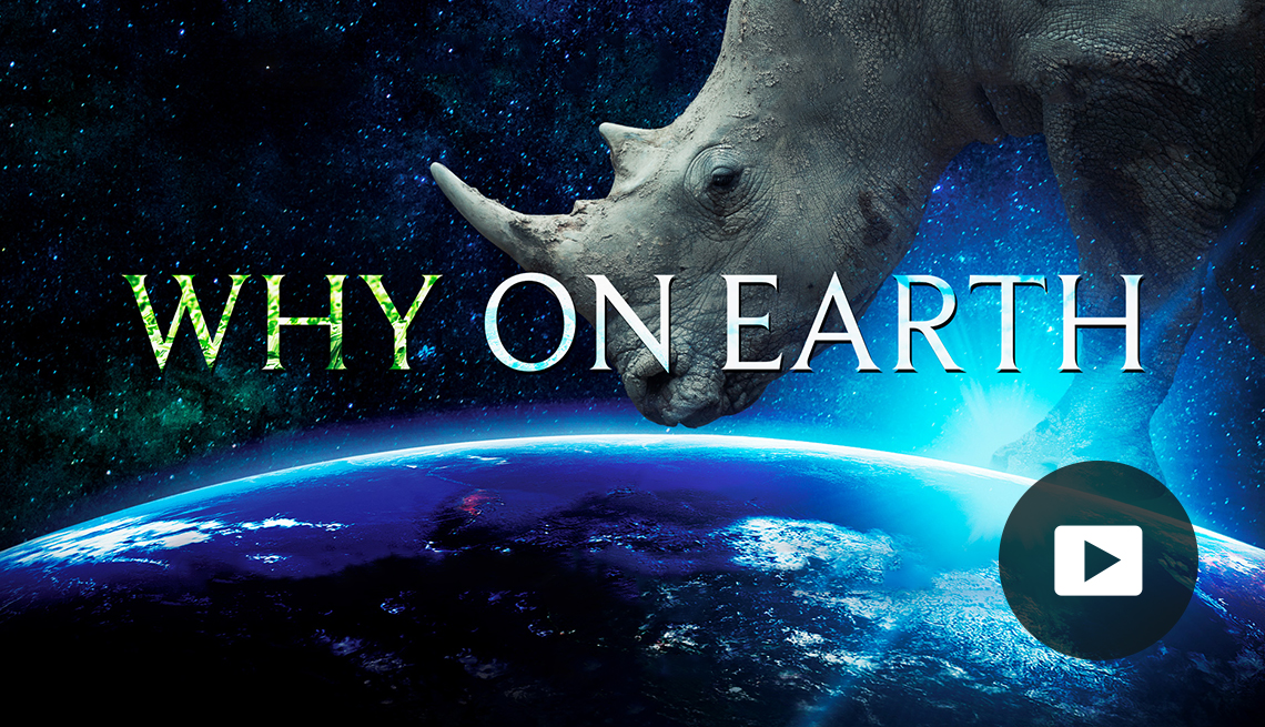 Why on Earth movie poster with photo of Earth and a rhinoceros. Video play button icon.