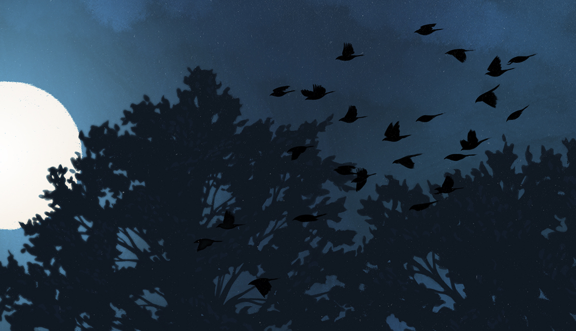 illustration of blackbirds soaring in the blue sky; some landing on trees