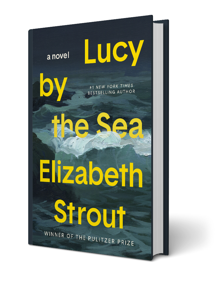 lucy by the sea book cover