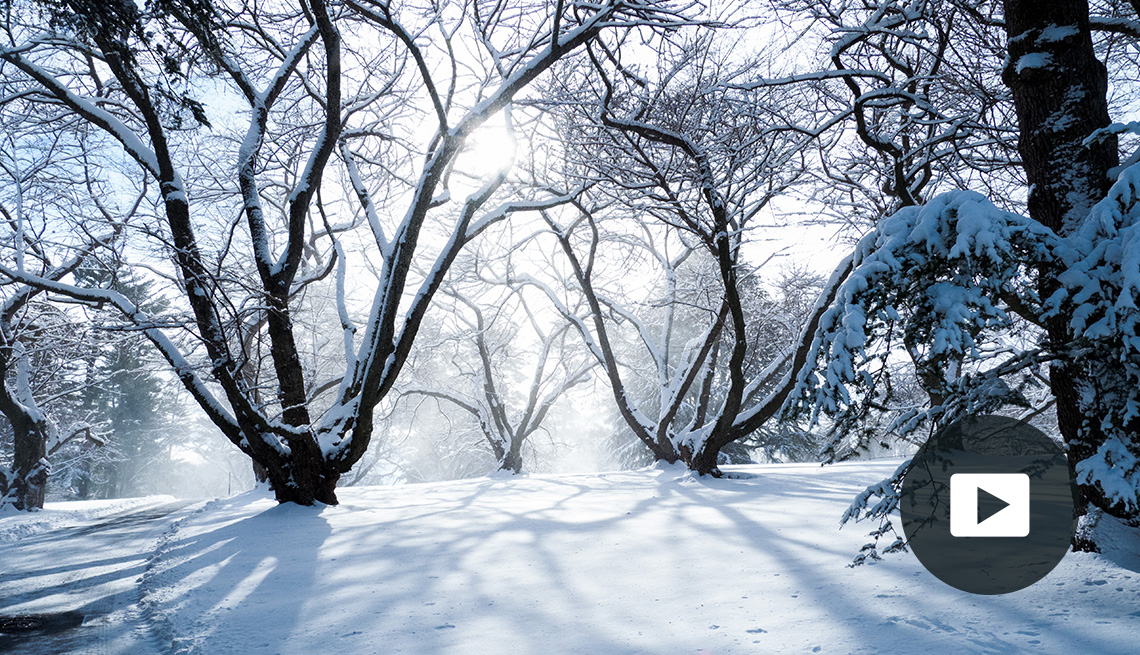 snow covered trees on snowy ground; picture of play button in bottom right corner