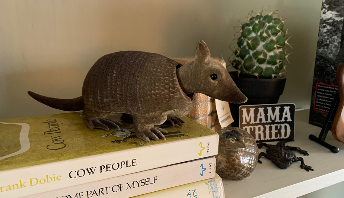 bobblehead armadillo sitting on pile of three books next to sign that says mama tried