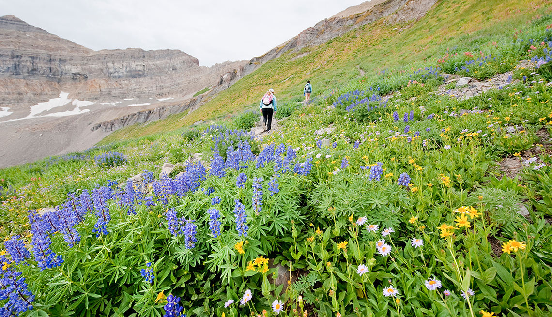 two people hiking up a mountain filled with purple, yellow and white flowers