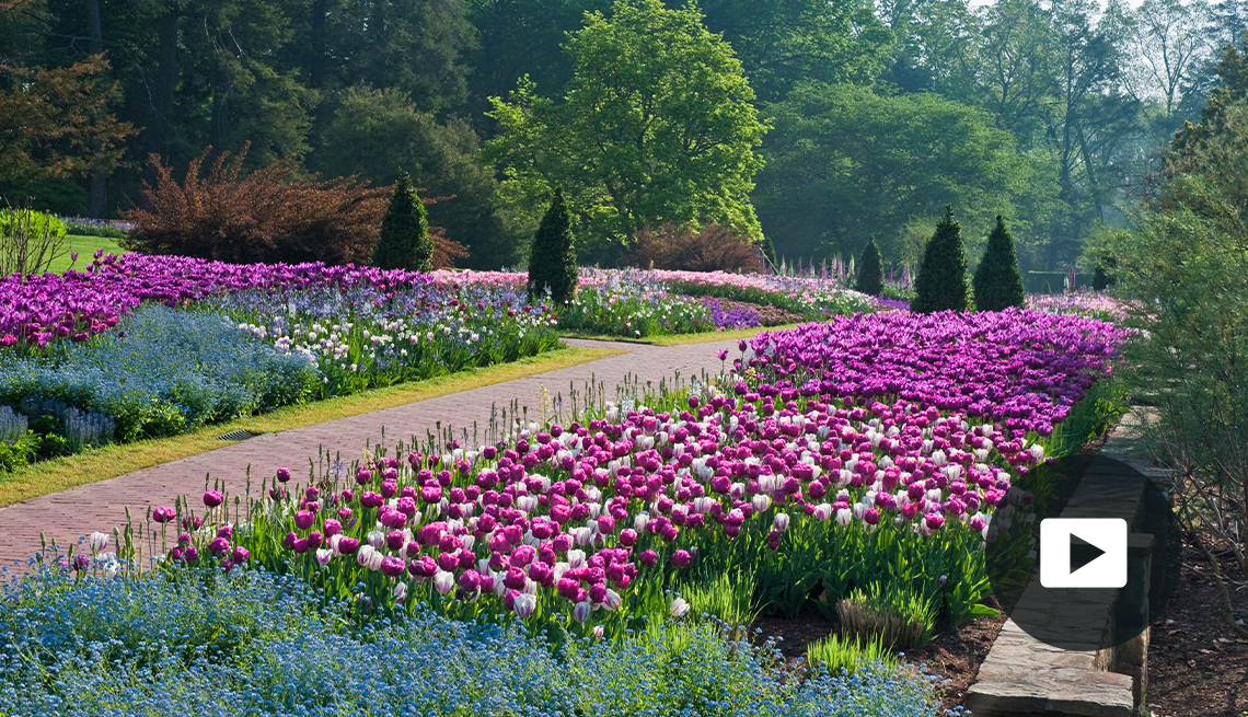 Thousands of tulips and other spring blooms at Longwood Gardens