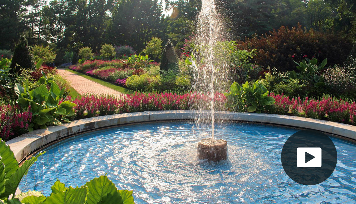Water fountain shooting water in air, surrounded by flowers and shrubs 