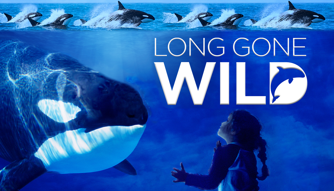 Watch 'Long Gone Wild' - Members Only Access - Vimarsana News