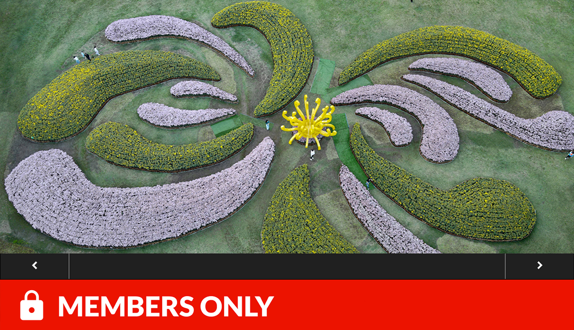 aerial view of an enormous chrysanthemum pattern landscape and a few people looking tiny walking around it, with red members only banner and lock icon