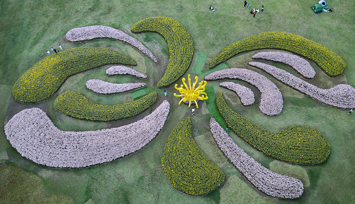 item 8 of Gallery image - aerial view of an enormous chrysanthemum pattern landscape and a few people looking tiny walking around it