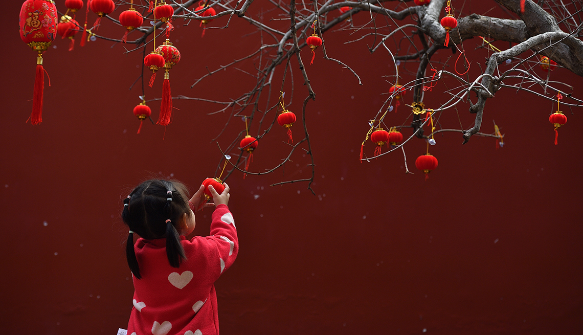 item 15 of Gallery image - a child holds one of many small red lanterns hanging from a tree’s branches  