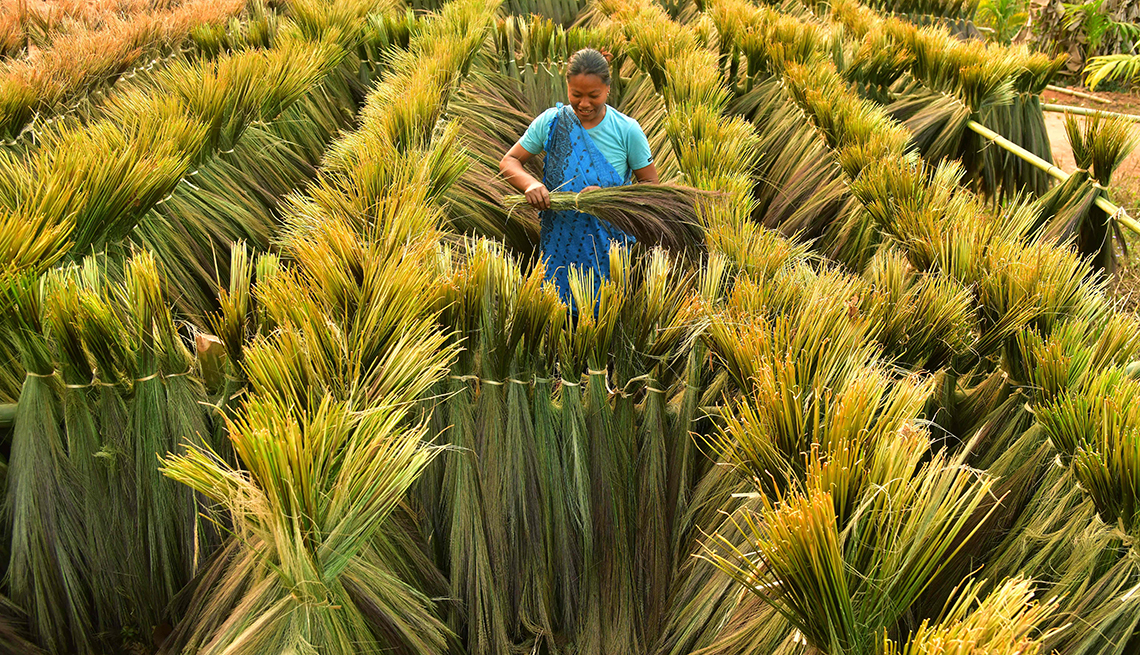 item 7 of Gallery image - a woman standing amidst rows of tall grasses gathers a bundle of grass 