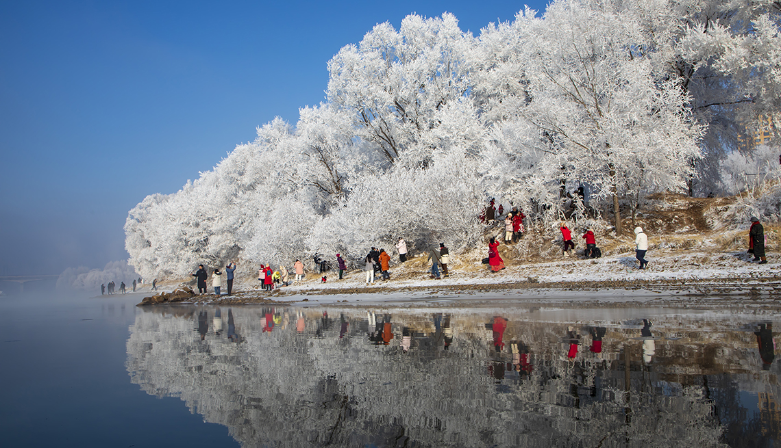 item 1 of Gallery image - people admiring ice-covered trees are reflected perfectly in still water of a river 