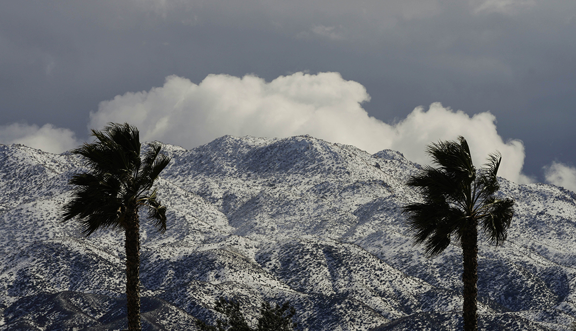 item 8 of Gallery image - two palms trees are backdropped by snow-covered mountains 