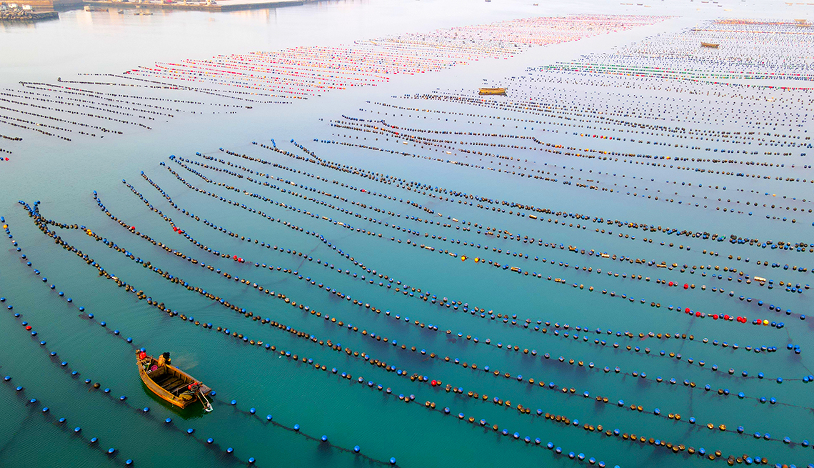 item 1 of Gallery image - a lone boat is seen in the foreground of a kelp breeding area in blue-green water