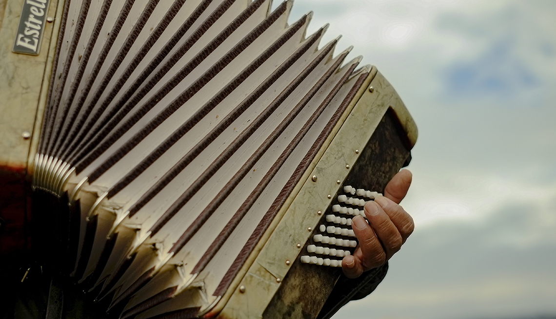 item 12 of Gallery image - close-up of a hand playing an accordion with a cloudy sky in the background