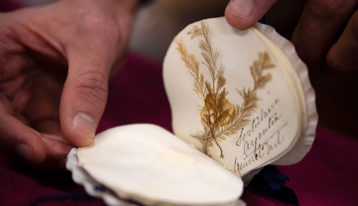 item 6 of Gallery image - hand holding scallop shell with cursive writing and plant leaves inside