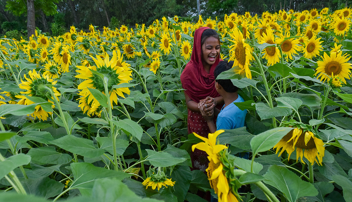 item 1 of Gallery image - in the middle of a sunflower field, a girl in a head scarf is laughing and holding a boy's hand
