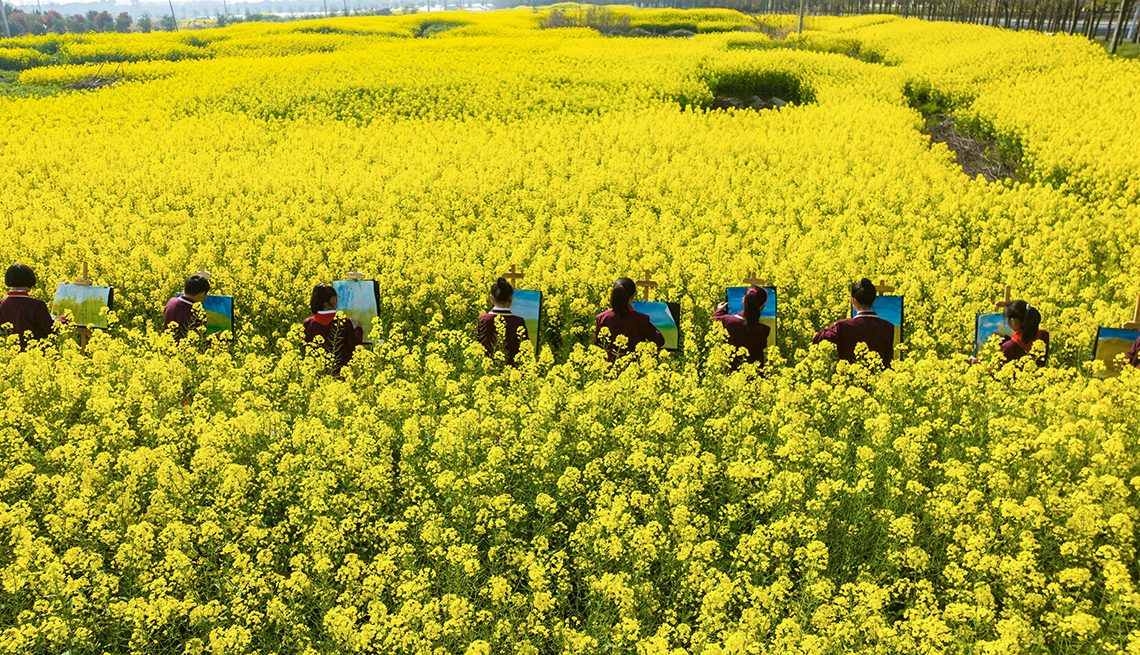 people at easels sit in a row in the middle of a field of blossoming rapeseed