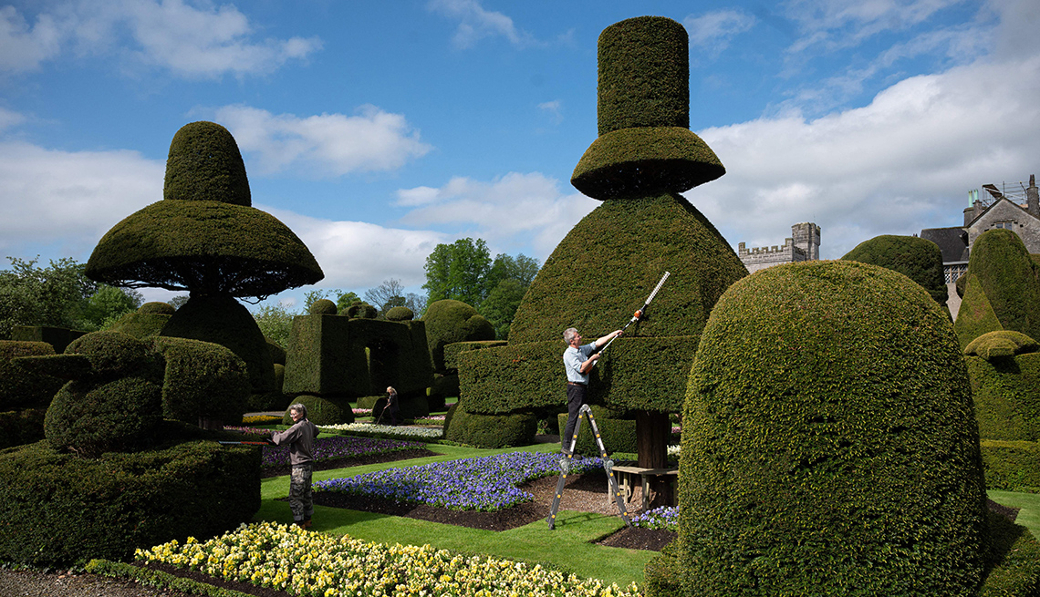 item 6 of Gallery image - gardeners work on a ladder and on the ground in a topiary garden