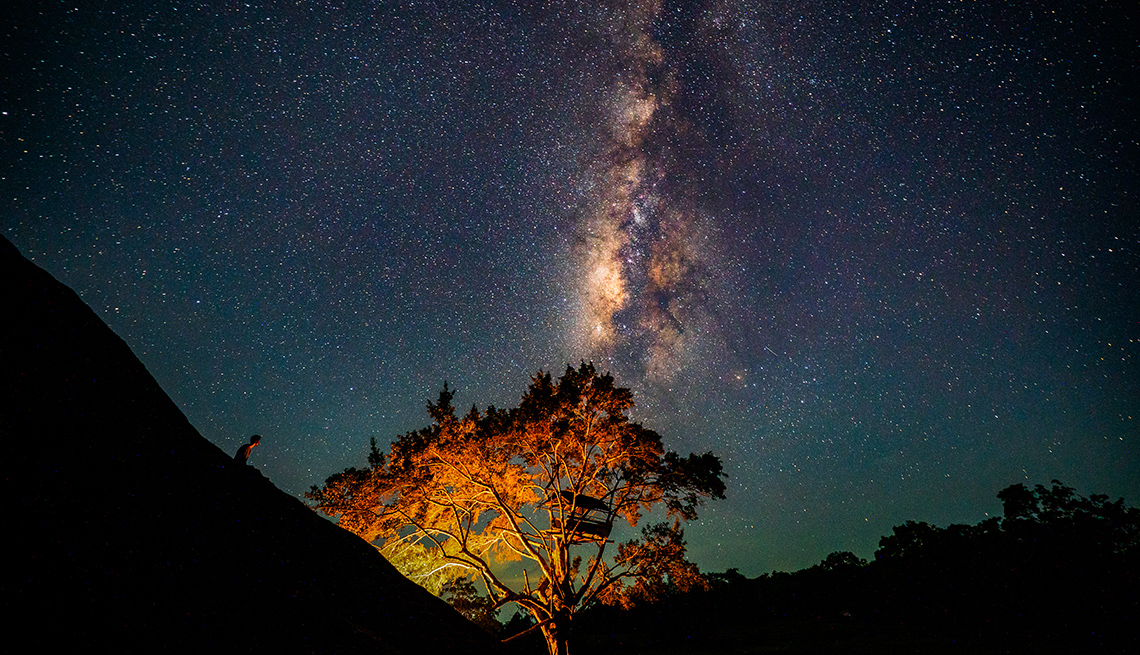 item 13 of Gallery image - the milky way shines in the sky over an illuminated tree in which a makeshift hut sits