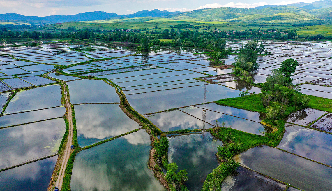 item 10 of Gallery image - rice paddy fields reflect the sky and trees, and hills are visible in the distance