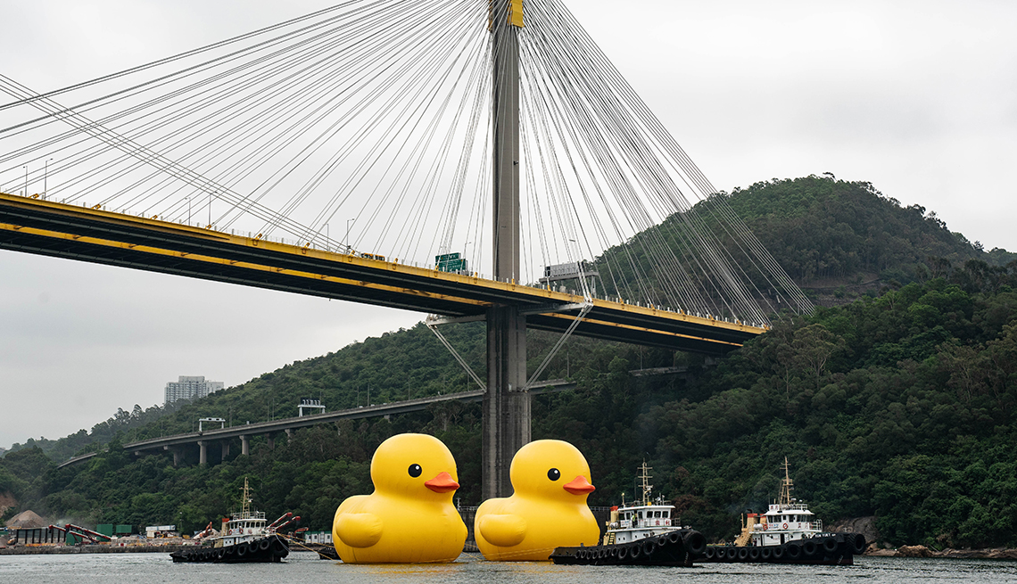 item 12 of Gallery image - two giant inflatable rubber ducks tower over ships they are floating beside under a bridge