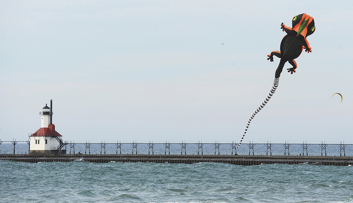 item 9 of Gallery image - A 45-foot lizard kite flies at Silver Beach in St. Joseph, Michigan.