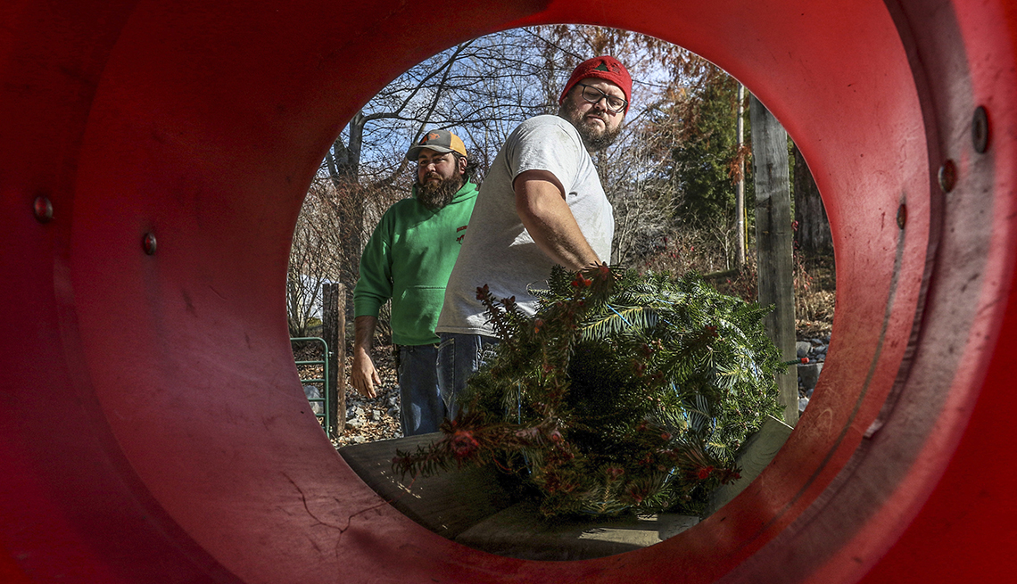 item 16 of Gallery image - Tree sellers wrap a Norway spruce at Hilltop Tree Farm in Philpot, Kentucky.  