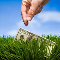 $100 bill in the grass