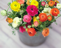 bucket of flowers-99 ways to save money with AARP discounts