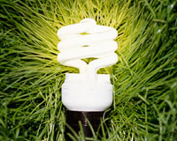 Compact fluorescent light bulb in grass 99 Ways to Save-18 Ways to Cut Utilities Costs