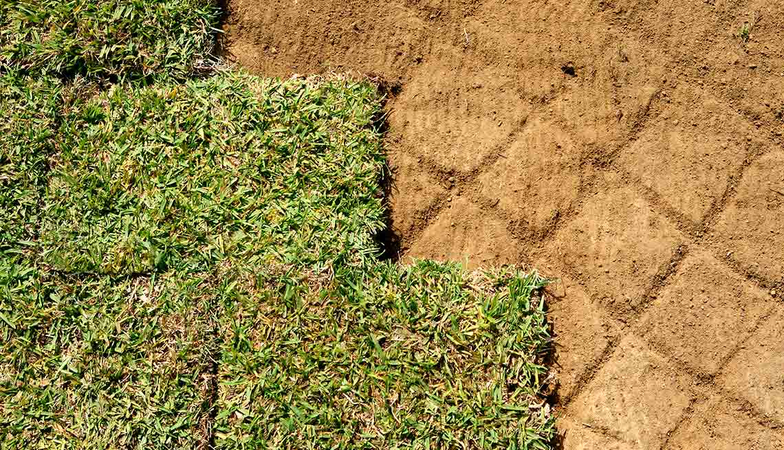 Outdoor DIY Fixes for Your Home - Reseed and patch the lawn