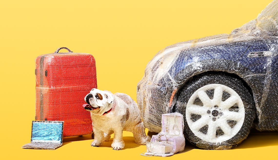 Un perro con en fondo de una maleta, un computador portátil,  y un carro forrados en plástico para aquellos seguros que no son necesarios