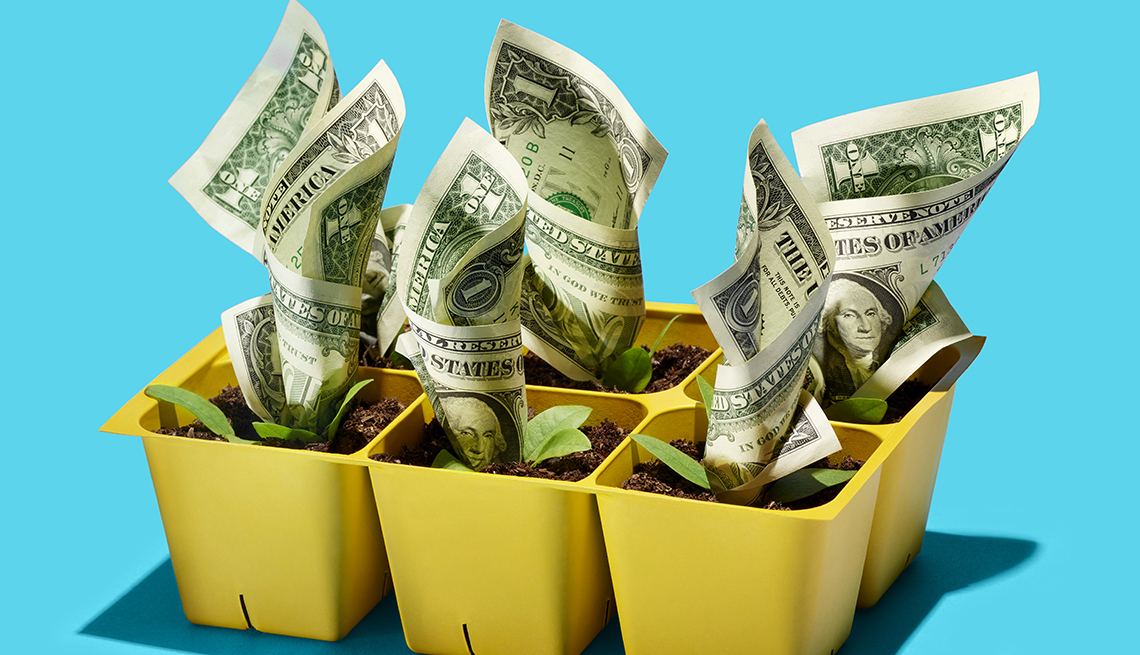 plant holder growing money 