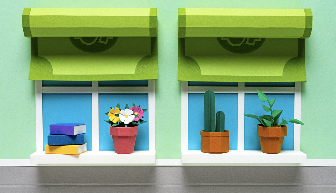 Ilustración de una ventana, con cortinas con diseño de billetes de dólar, y abajo unas plantas y unos libros