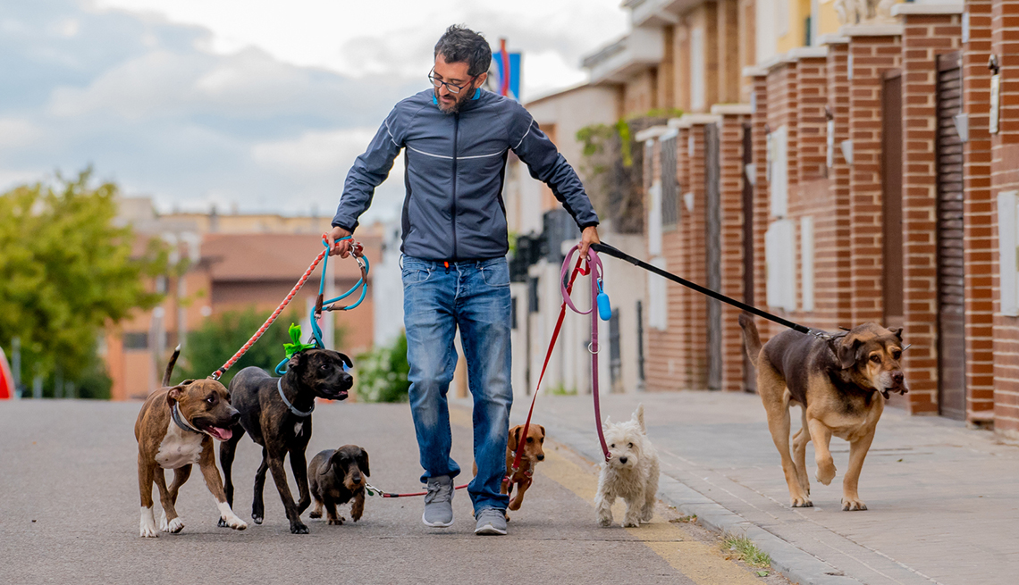 a man walking dogs