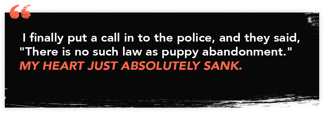 Infographic quote with the words "I finally put a call in to the police, and they said, 'There's no such law as puppy abandonment.' My heart just absolutely sank.