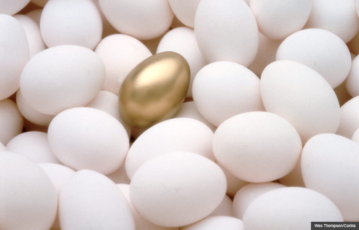Choice of golden egg among many plain white eggs, Jane Bryant Quinn article on investing in annuities (Wes Thompson/Corbis)
