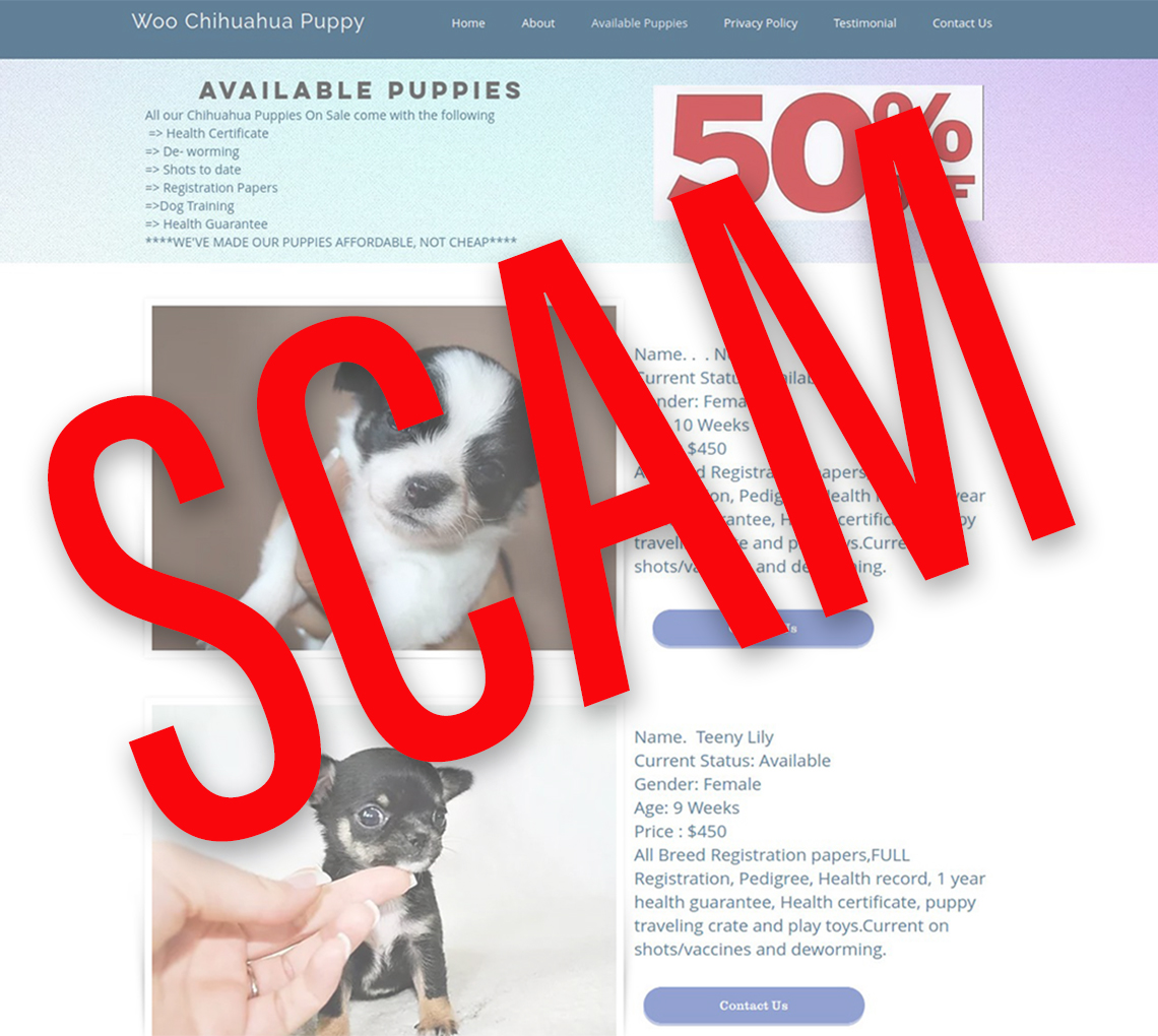 Captura de pantalla de una web falsa llamada lovelyhappypuppy.com con un letrero encima que dice fraude
