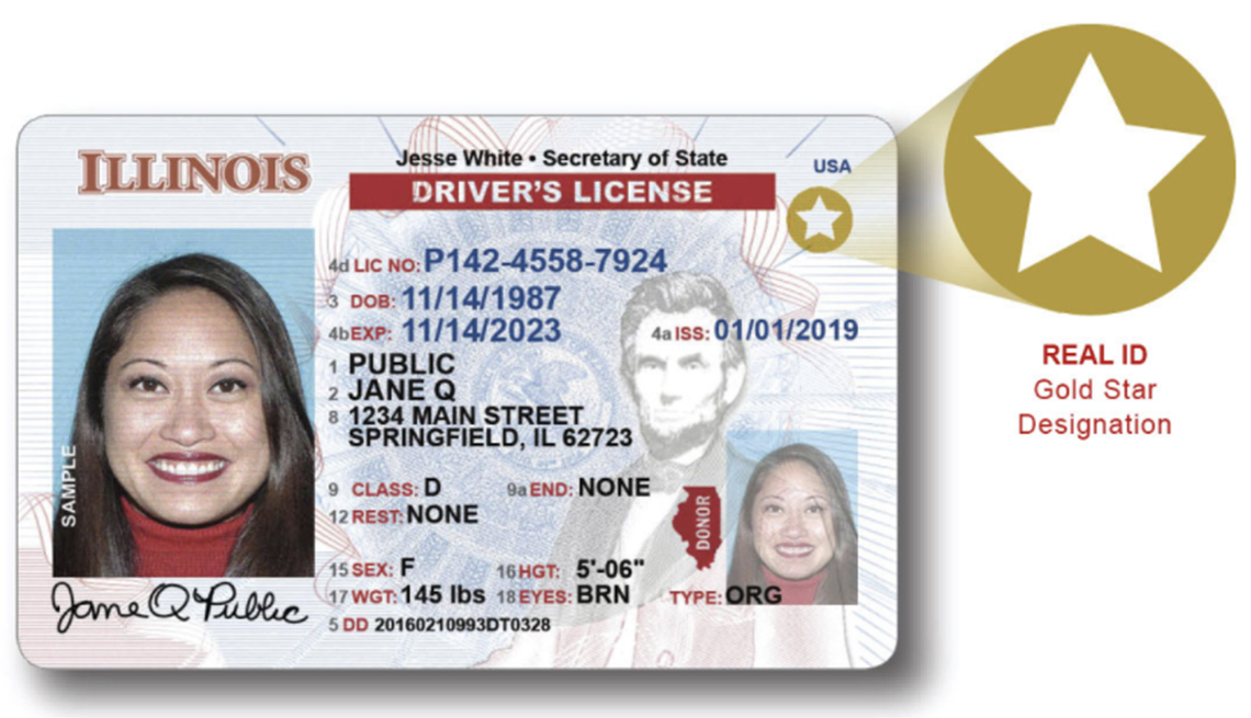 Muestra de una licencia de conducción Real ID de una mujer