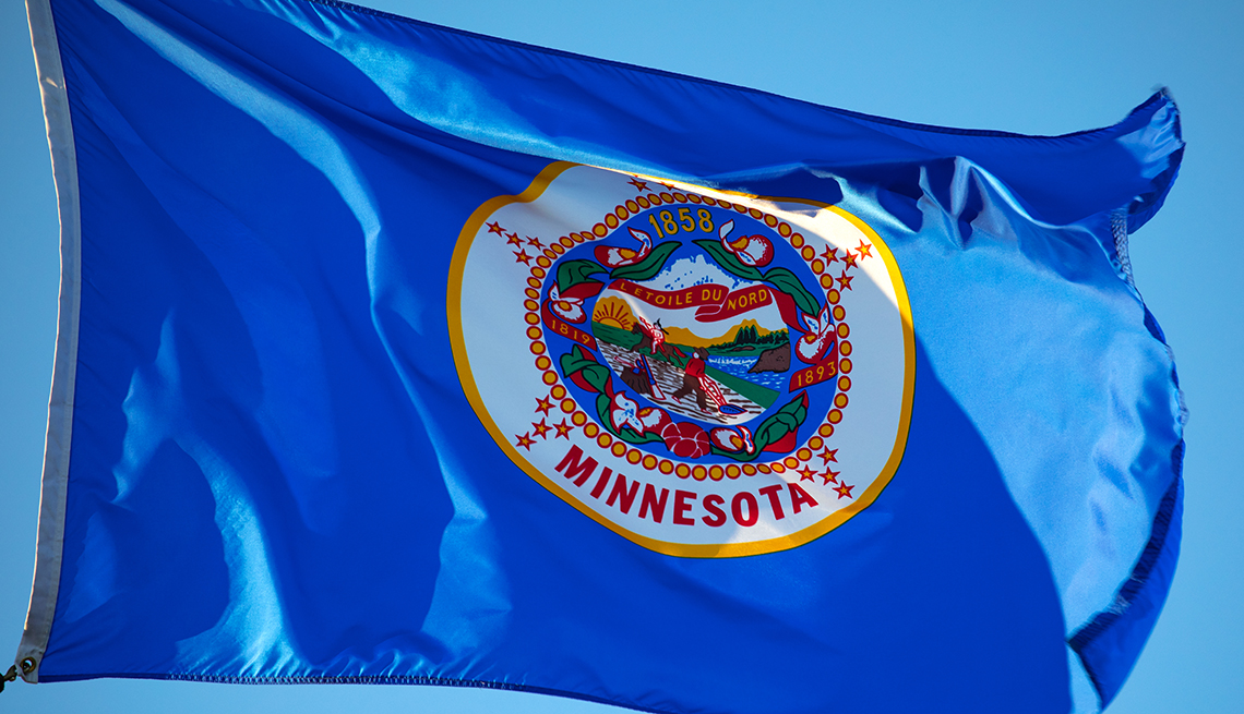 Minnesota state flag flying in the breeze