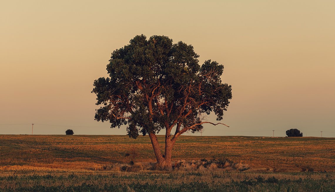 Nicodemus Celebration