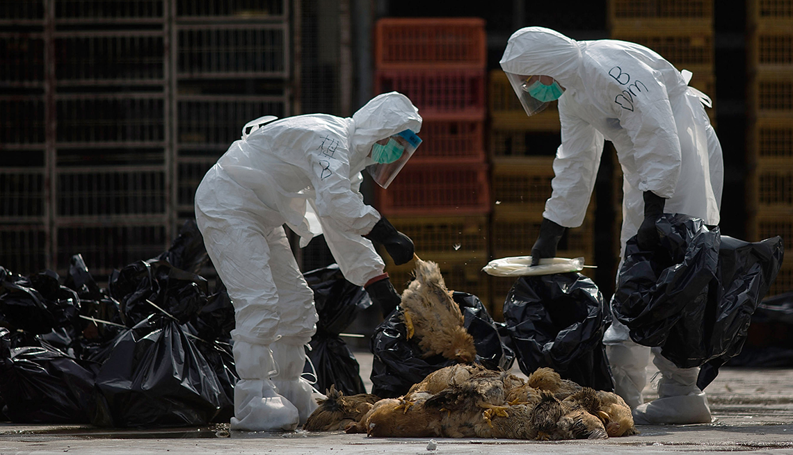 Empleados trabajando para contener la gripe aviar