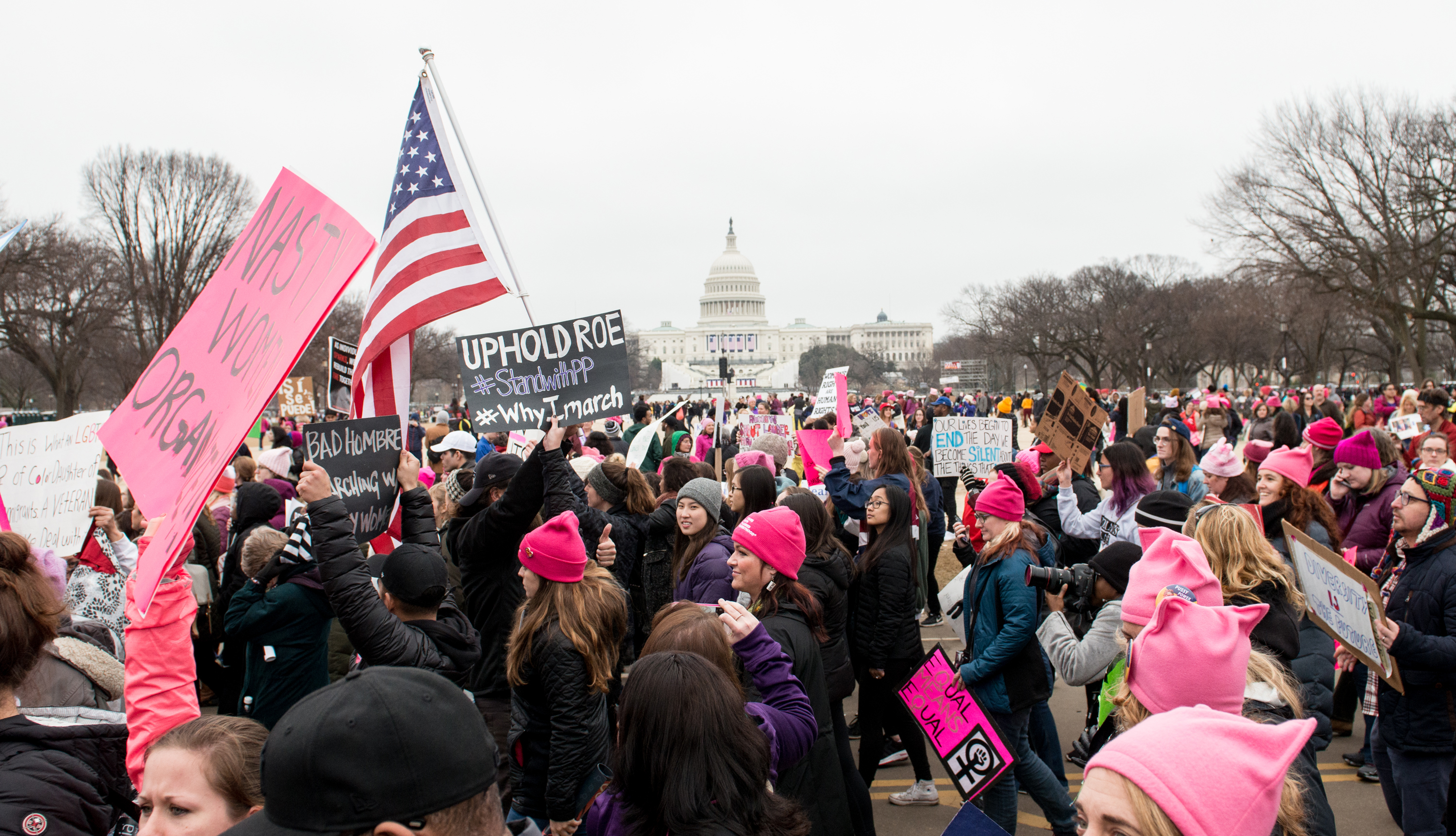 item 9 of Gallery image - wide shot of the u s capitol building in the distance taken from the national mall which is filled with protestors wearing pink hats and holding signs at the 2017 womens march on washignton
